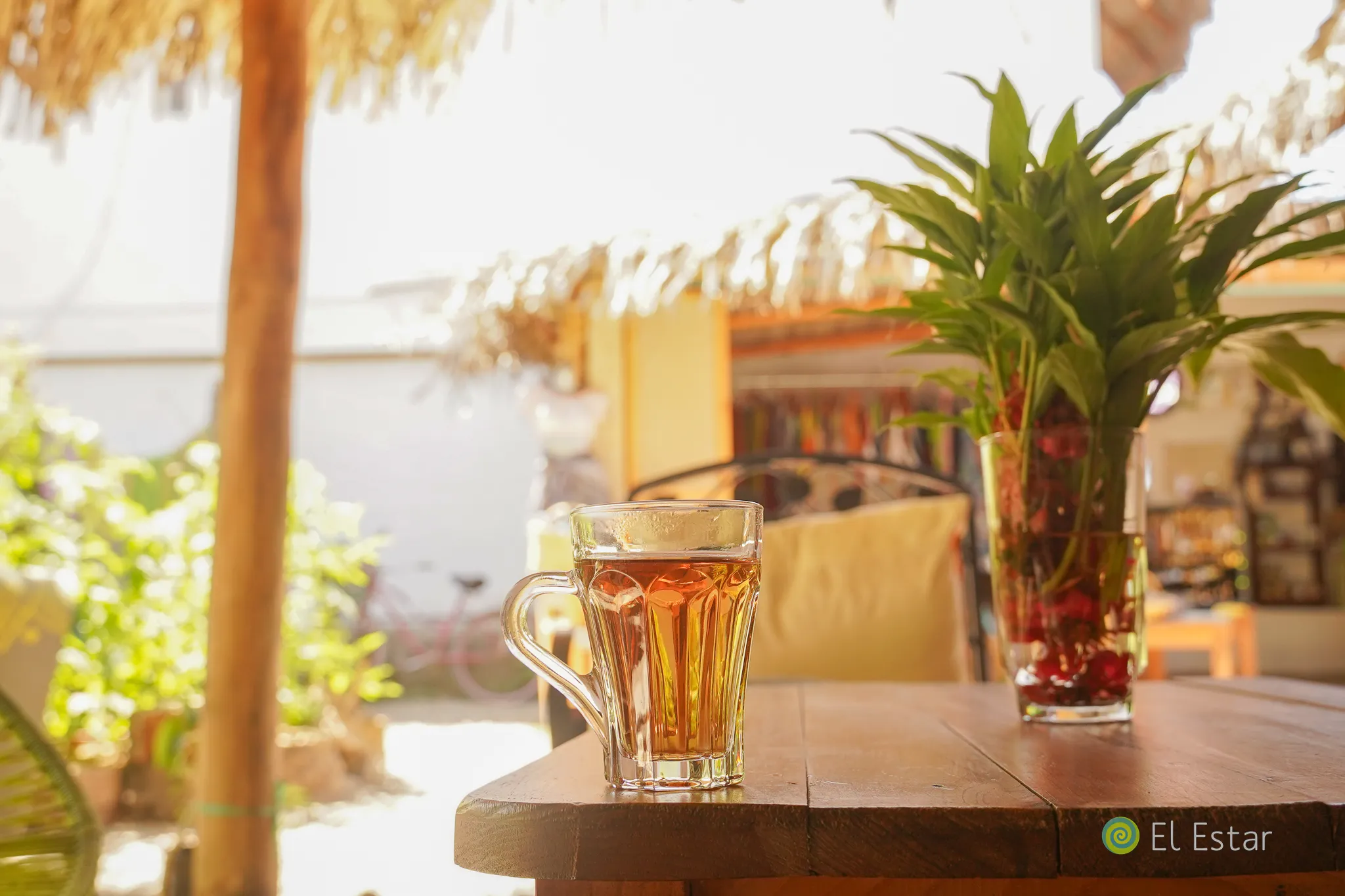 Té Herbal Medicinal